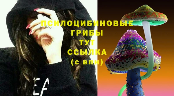гидра Баксан