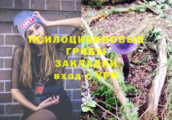 амф Аркадак